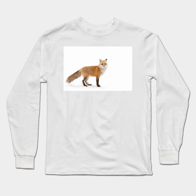 Red Fox - Algonquin Park Long Sleeve T-Shirt by Jim Cumming